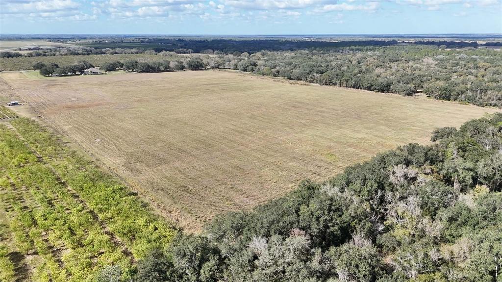 7053 George Marsh Road Zolfo Springs, FL 33890 - Photo 61 of 84