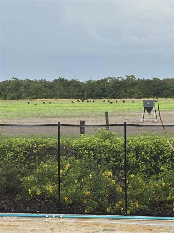 7053 George Marsh Road Zolfo Springs, FL 33890 - Photo 80 of 84