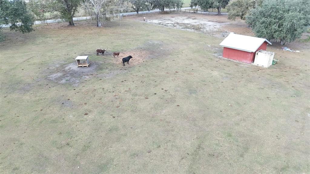 7053 George Marsh Road Zolfo Springs, FL 33890 - Photo 81 of 84 a view of a dry yard with wooden fence