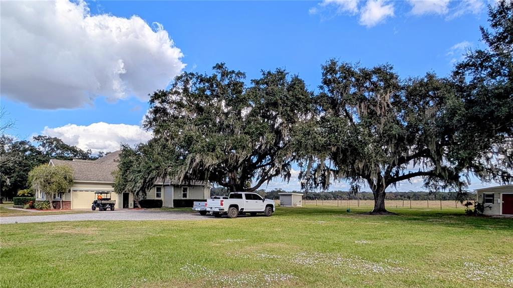 7053 George Marsh Road Zolfo Springs, FL 33890 - Photo 10 of 84 a view of a trees in front of a house with a big yard