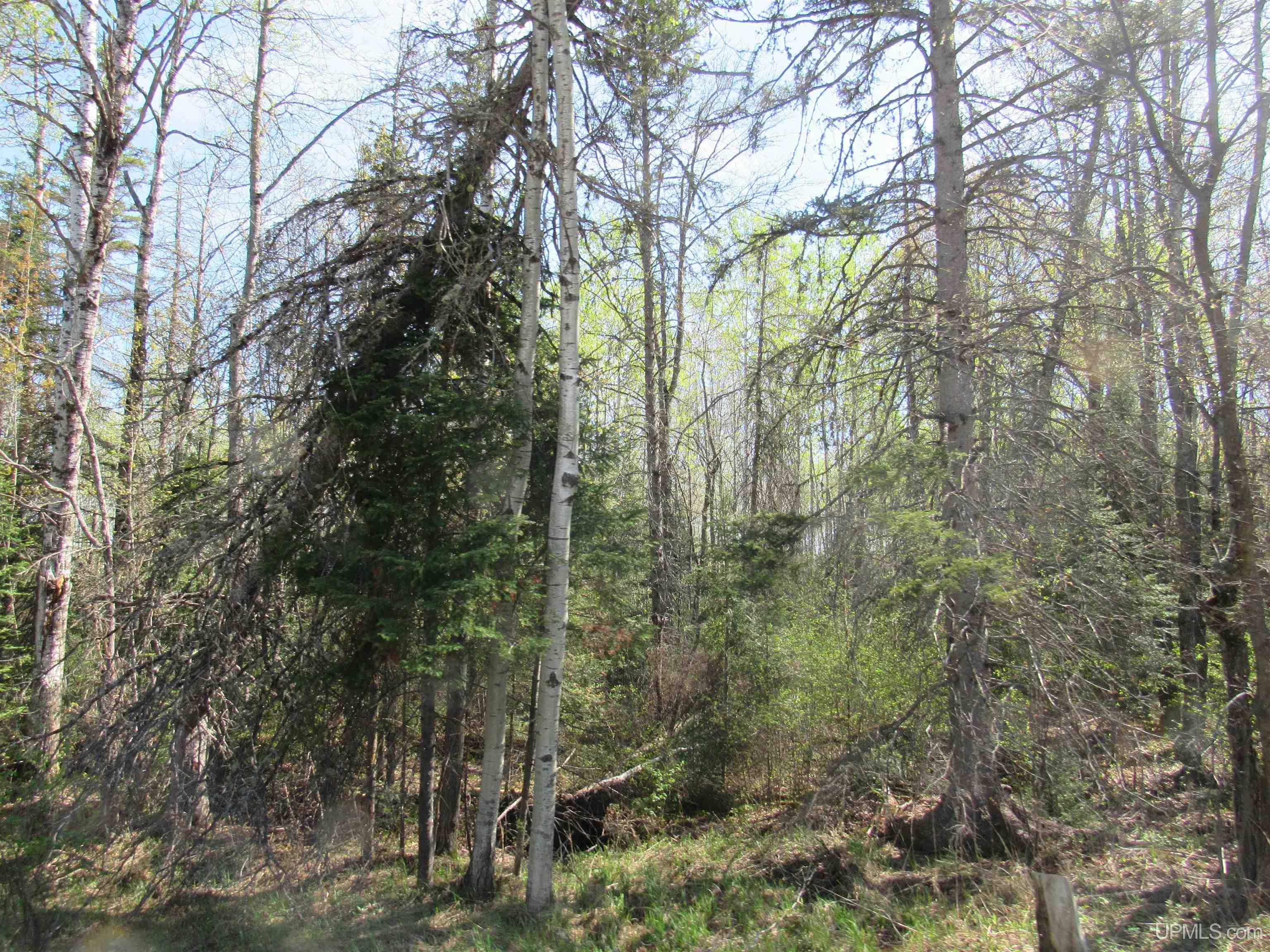 Tbd Us 141 Road, Unit LUKES ROAD Amasa, MI 49903 - Photo 11 of 22