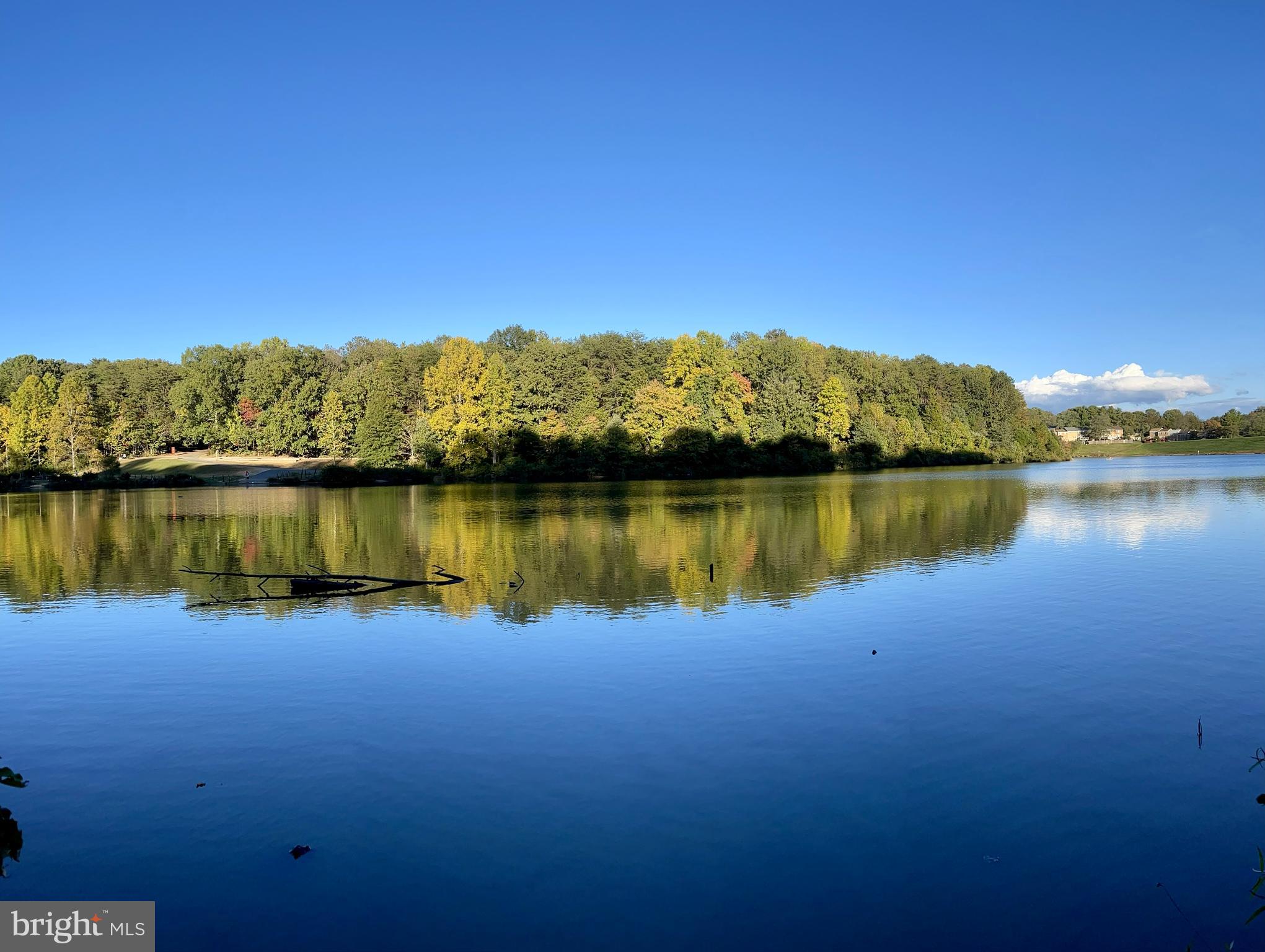 5307 Richardson Drive Fairfax, VA 22032 - Photo 45 of 57 Lake Royal