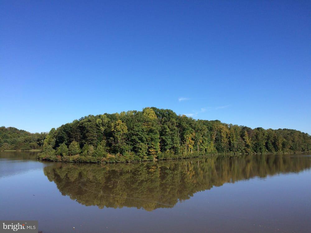 5307 Richardson Drive Fairfax, VA 22032 - Photo 46 of 57 Lake Royal