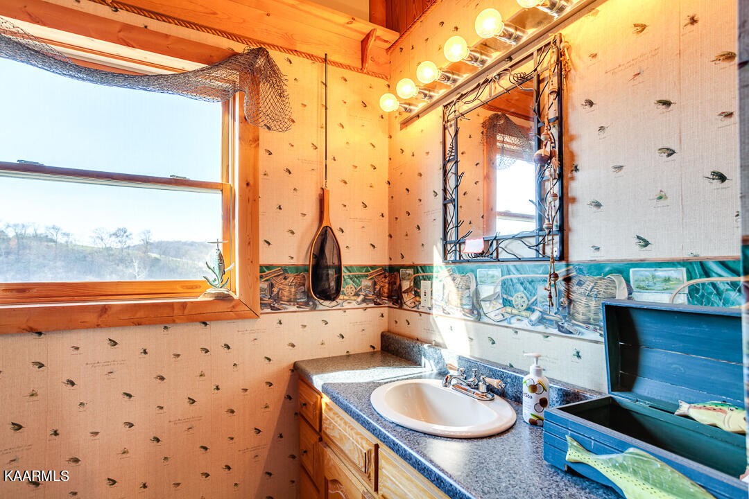 2030 Holston River Drive Rutledge, TN 37861 - Photo 27 of 53 a bathroom with a sink double vanity and a mirror