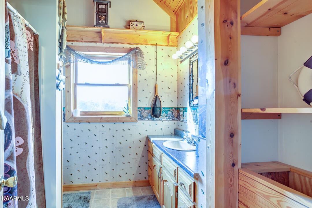 2030 Holston River Drive Rutledge, TN 37861 - Photo 28 of 53 a bathroom with a sink a mirror and a shower