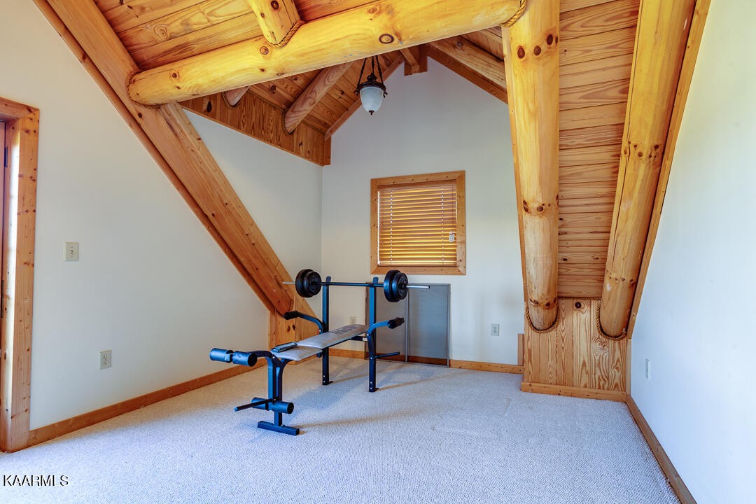 2030 Holston River Drive Rutledge, TN 37861 - Photo 32 of 53 a view of a room with gym equipment