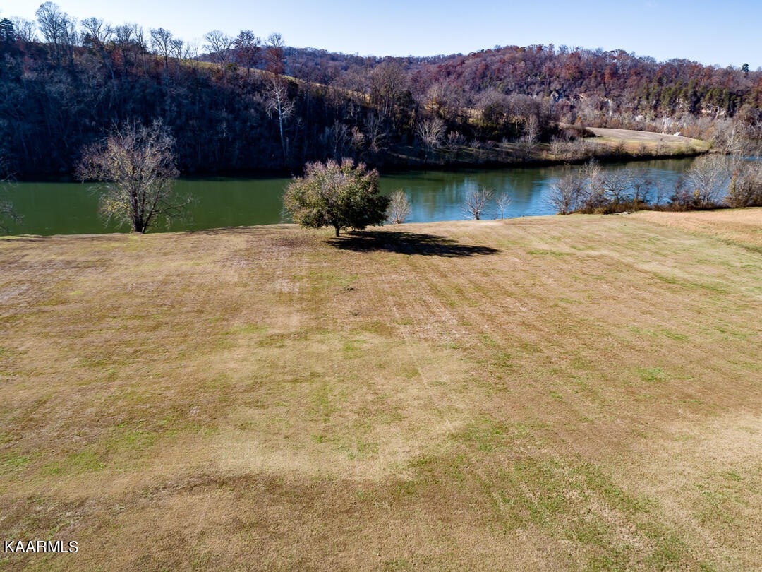 2030 Holston River Drive Rutledge, TN 37861 - Photo 48 of 53 a front view of a house with a yard