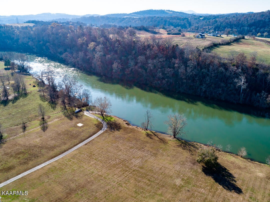2030 Holston River Drive Rutledge, TN 37861 - Photo 49 of 53 a view of a backyard