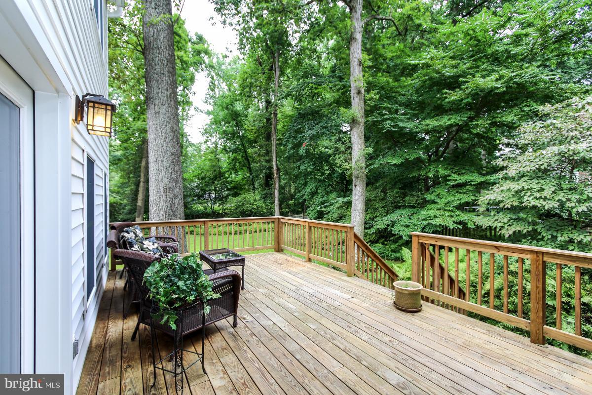 4004 Beverly Road Rockville, MD 20853 - Photo 26 of 30 Deck