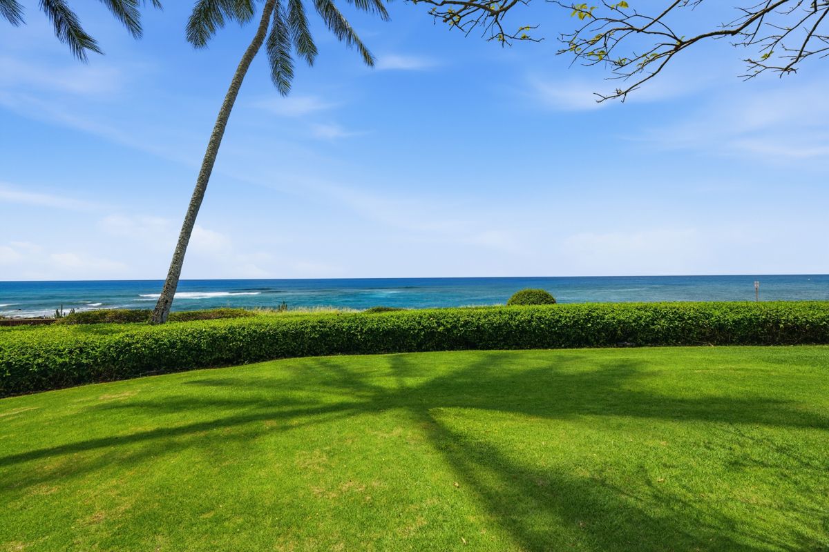 2221 Kapili Road, Unit 6 Koloa, HI 96756 - Photo 8 of 27 a view of a golf course with a big yard