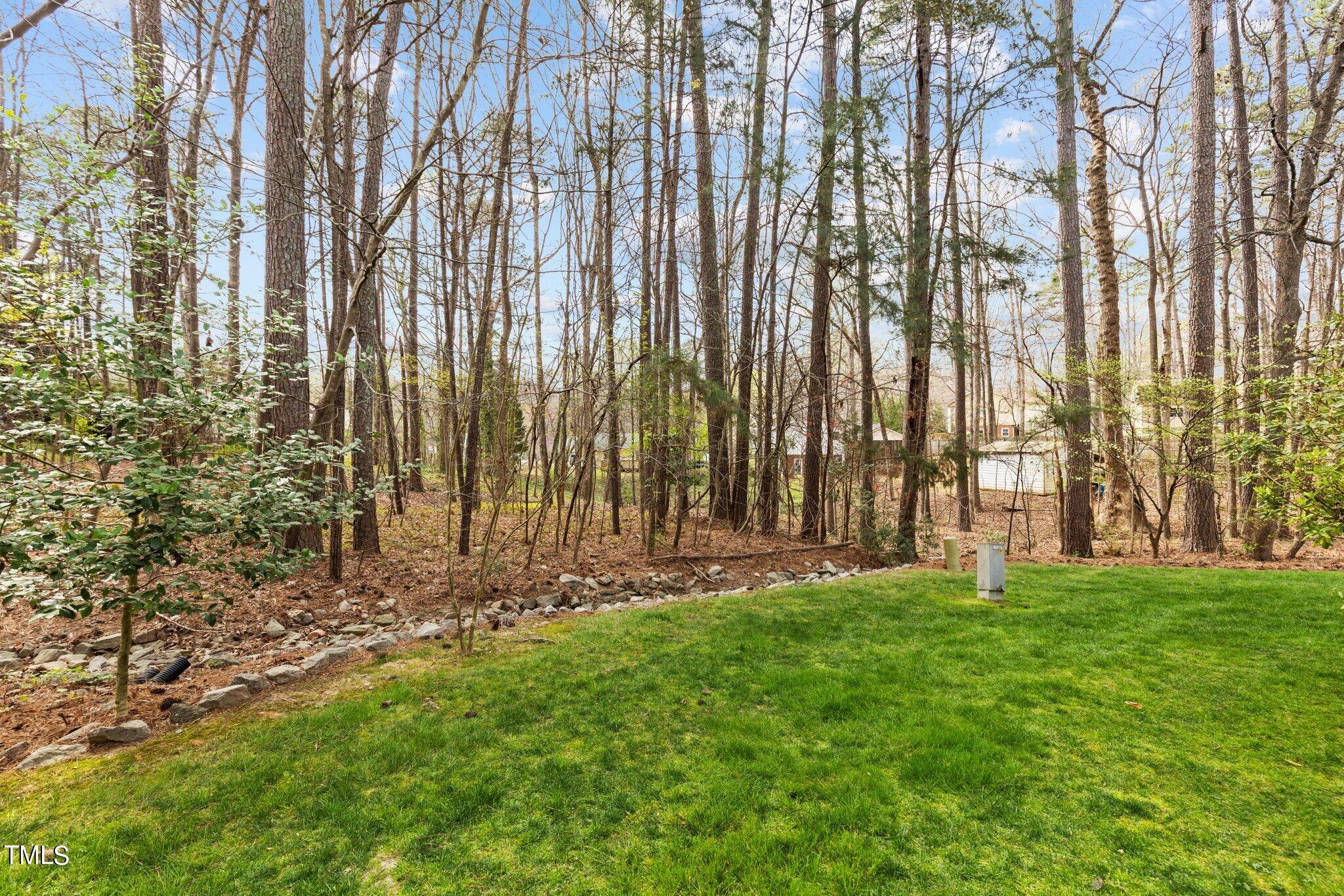 137 Renwick Court Raleigh, NC 27615 - Photo 28 of 31 38-web-or-mls-8Y3A8878