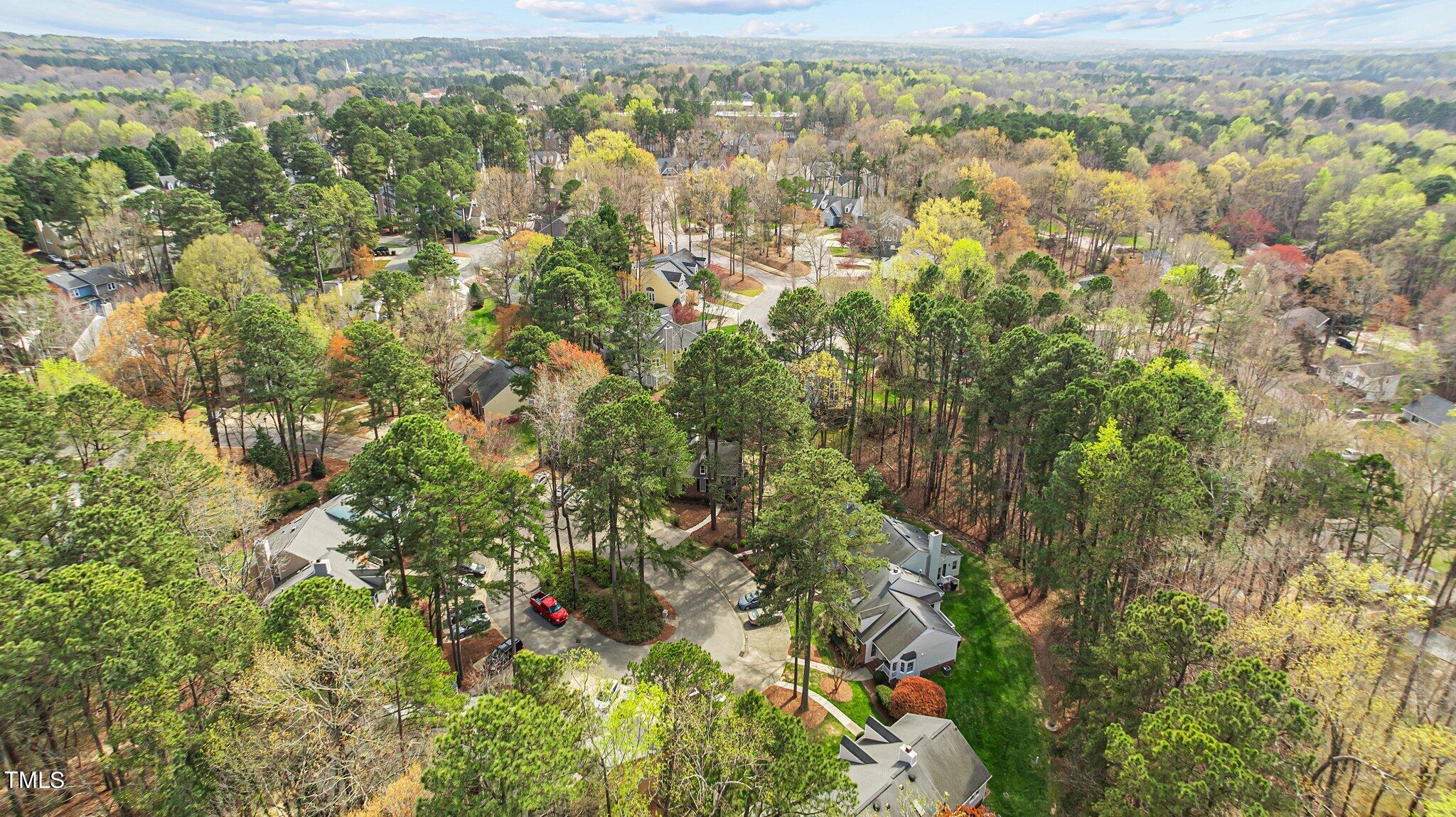 137 Renwick Court Raleigh, NC 27615 - Photo 31 of 31 51-web-or-mls-DJI_0726