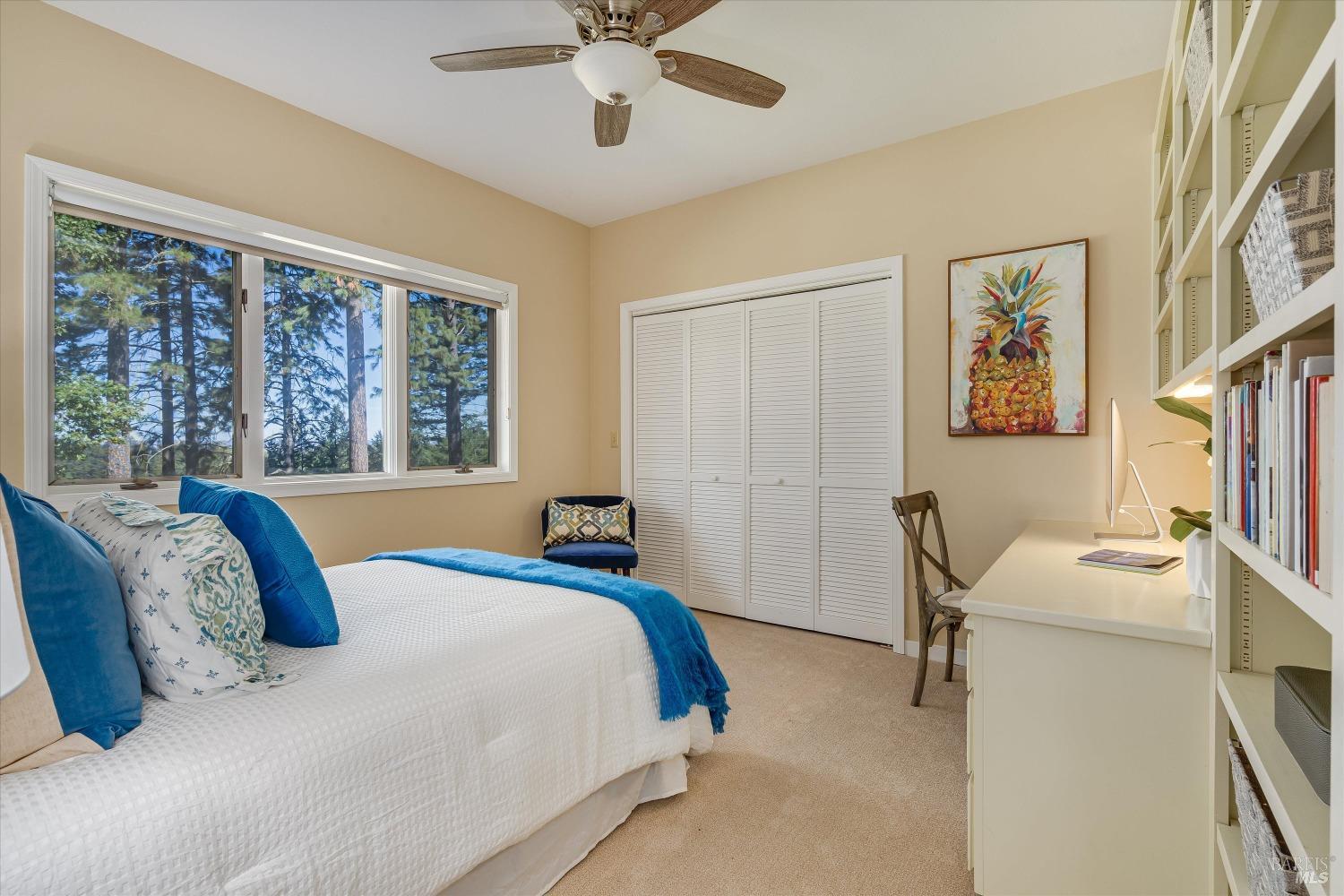 1155 Las Posadas Road Angwin, CA 94508 - Photo 42 of 74