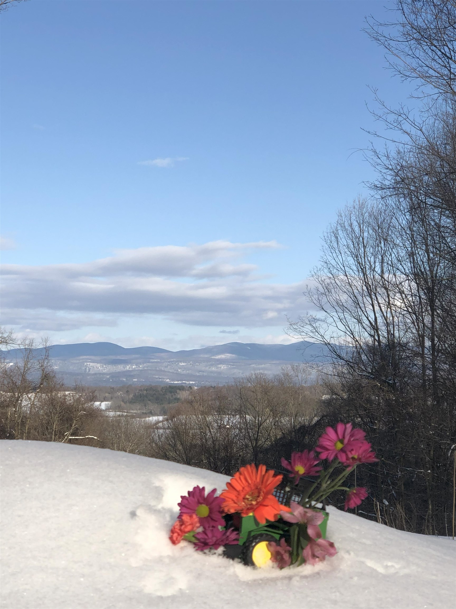 372 Fisher Road Orwell, VT 05760 - Photo 42 of 43