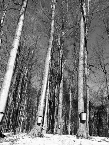 $599,000 | 372 Fisher Road, Orwell, VT 05760