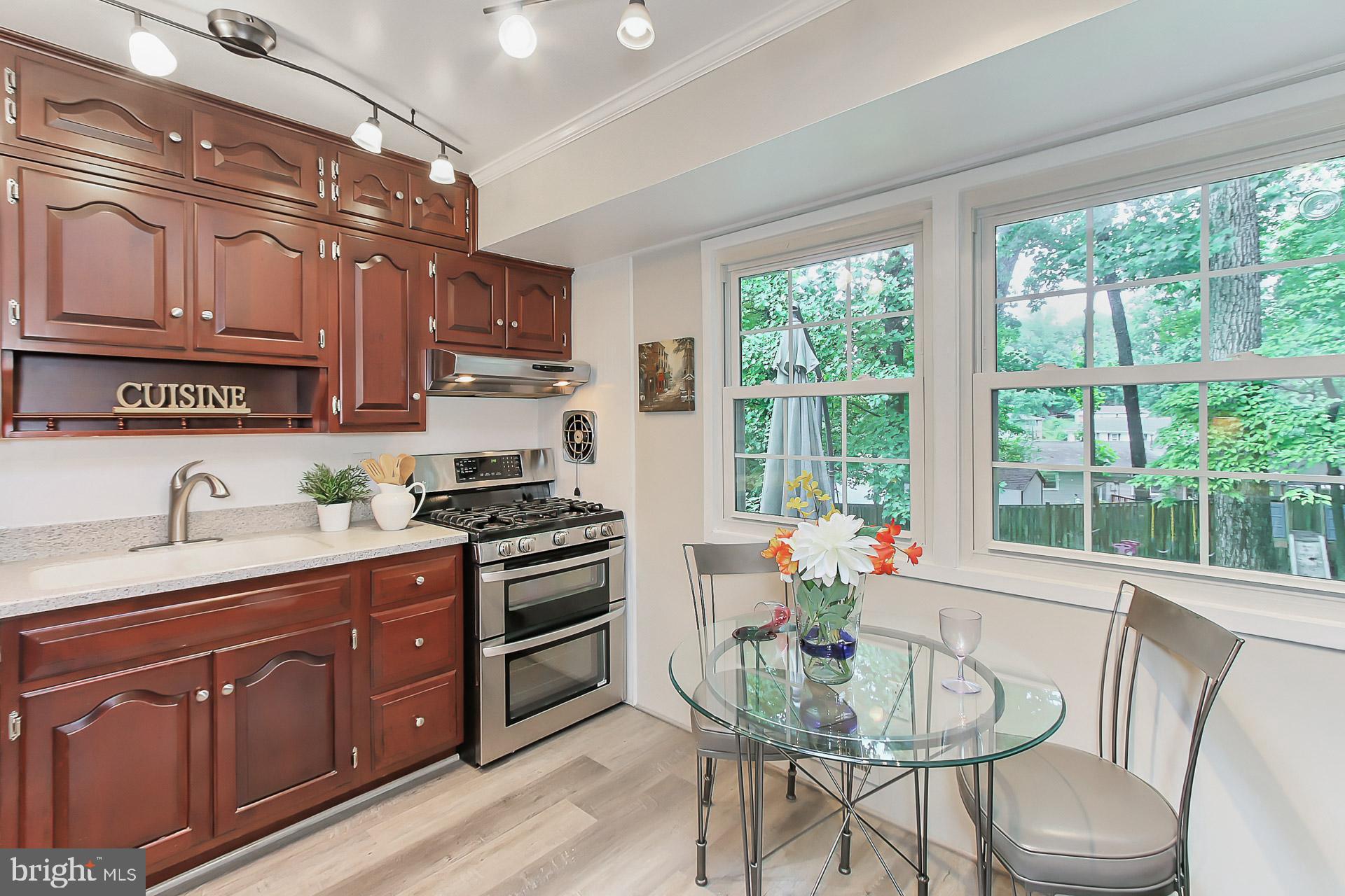 6221 Tyner Street Springfield, VA 22152 - Photo 18 of 56 Stainless appliances including a Gemini gas range