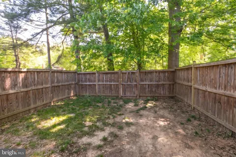 a view of a backyard with wooden fence and a large tree