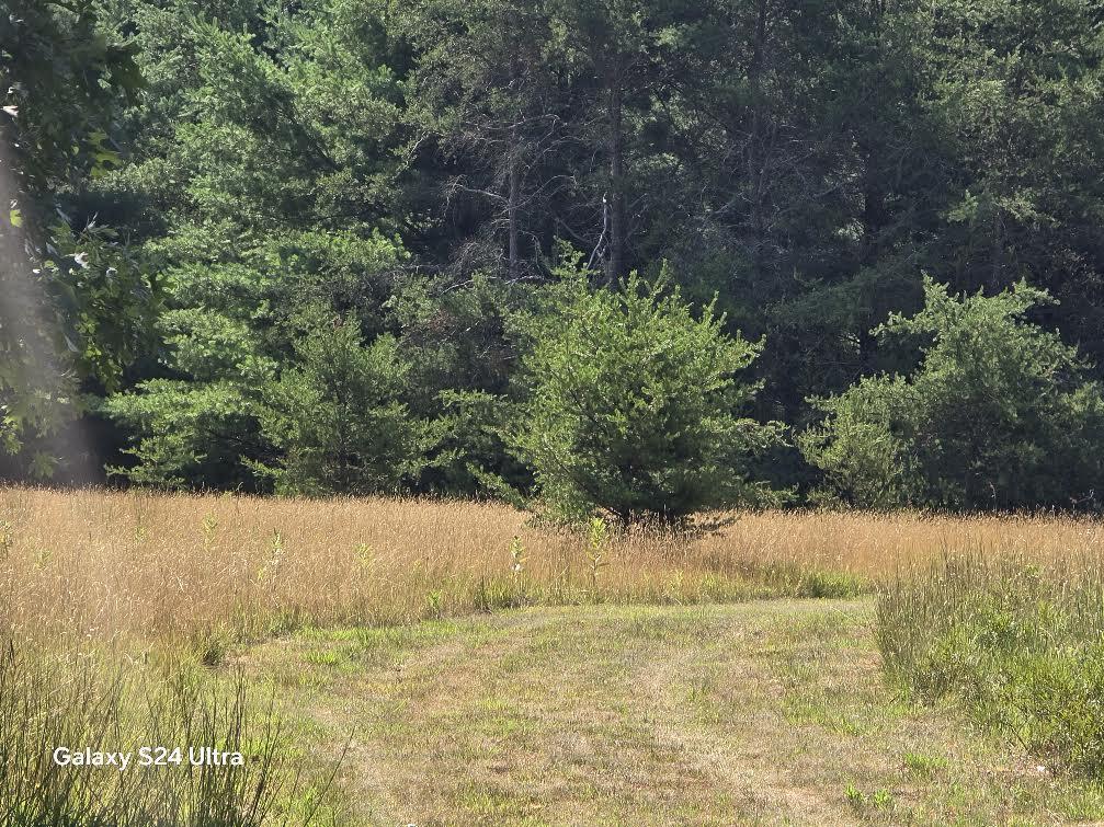 North River Road Irons, MI 49644 - Photo 4 of 5 1