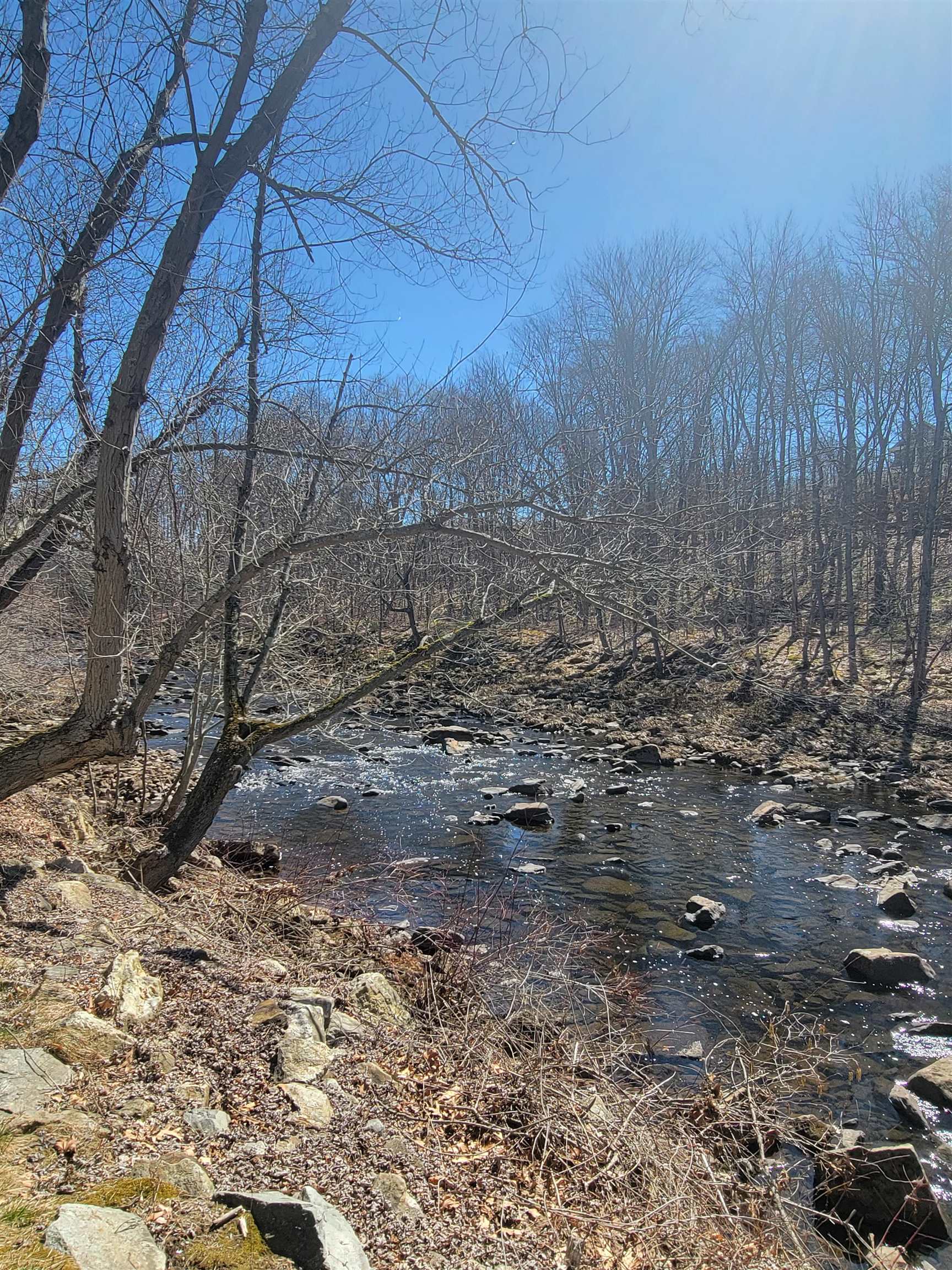 8 Mill Falls Road Pembroke, NH 03275 - Photo 51 of 53
