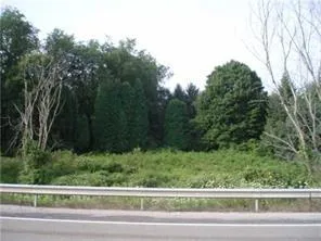 a view of a yard from a window