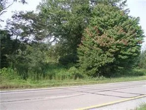 a view of a yard from a window