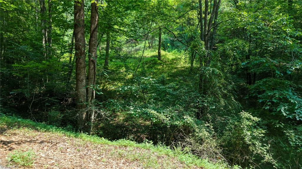 0 Rocky Point Road Wilkesboro, NC 28697 - Photo 5 of 16 Gallery Image 5