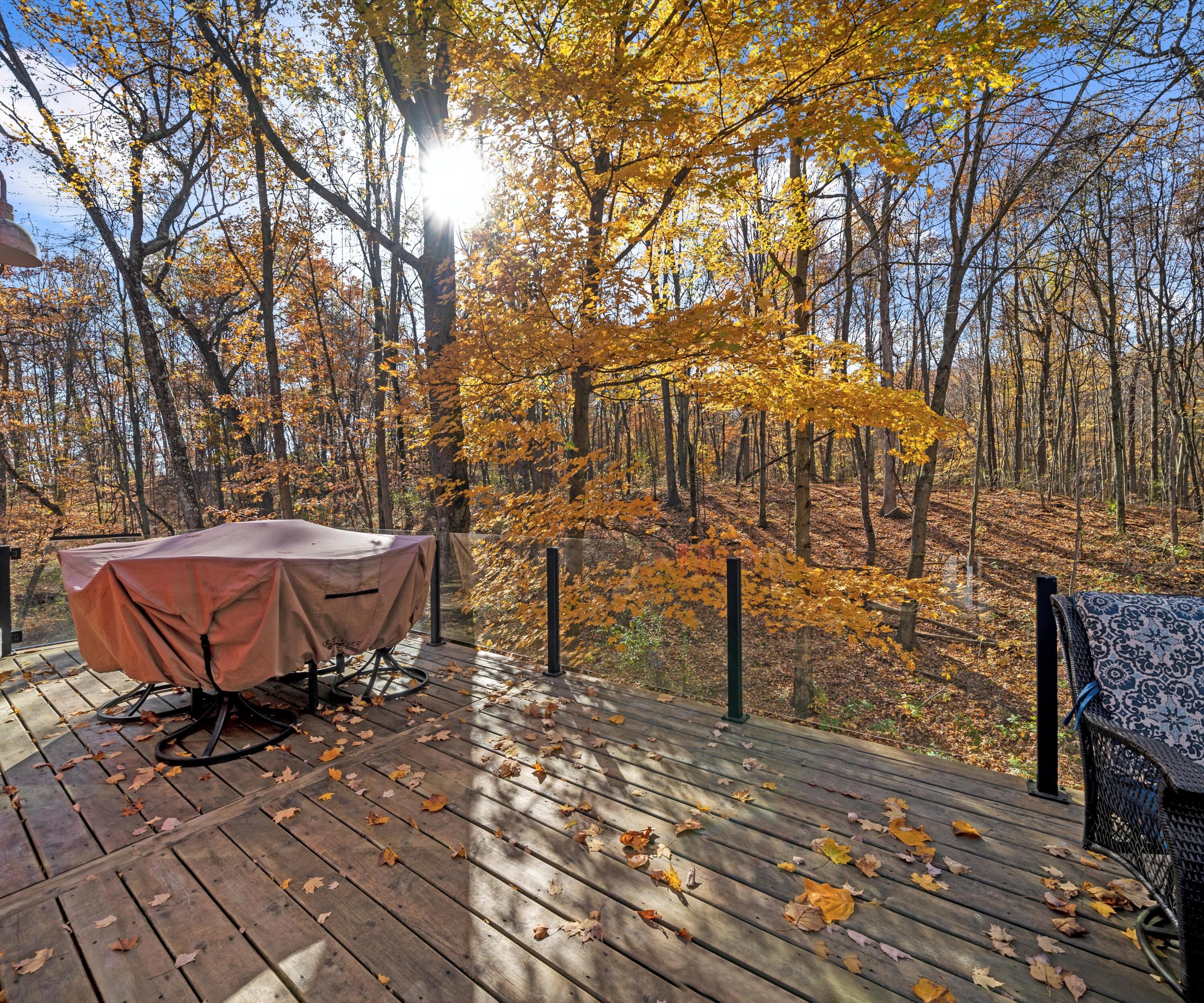 9820 Ionia Road Bellevue, MI 49021 - Photo 28 of 52 53-DSC09558