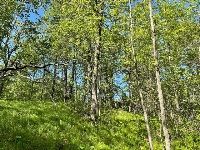 $77,900 | Tbd Wedgewood Drive Northwest, Walker, MN 56484