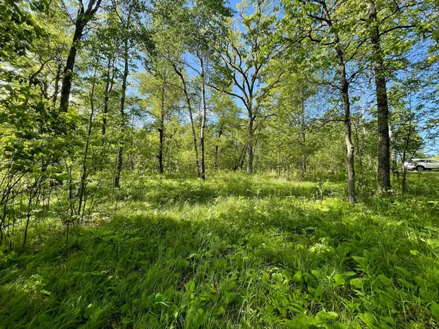 $77,900 | Tbd Wedgewood Drive Northwest, Walker, MN 56484