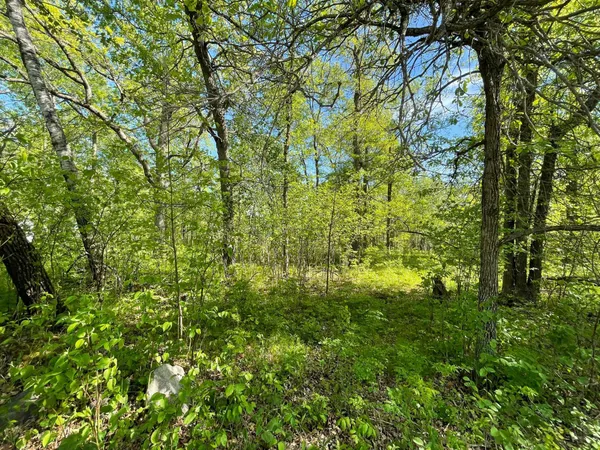 $77,900 | Tbd Wedgewood Drive Northwest, Walker, MN 56484