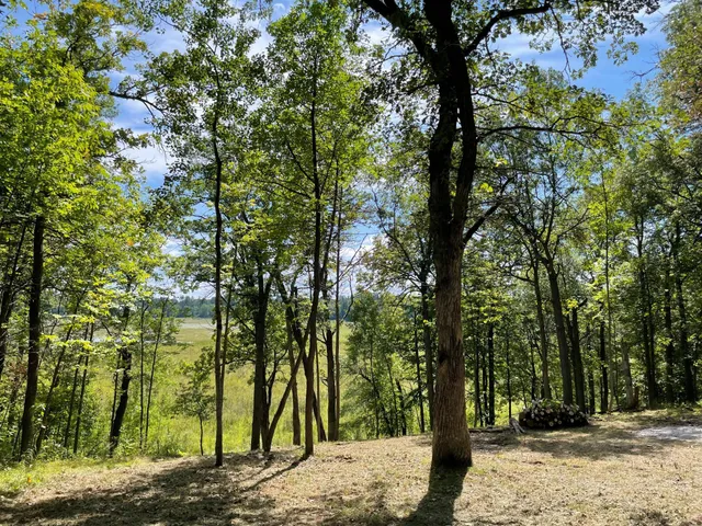 $77,900 | Tbd Wedgewood Drive Northwest, Walker, MN 56484