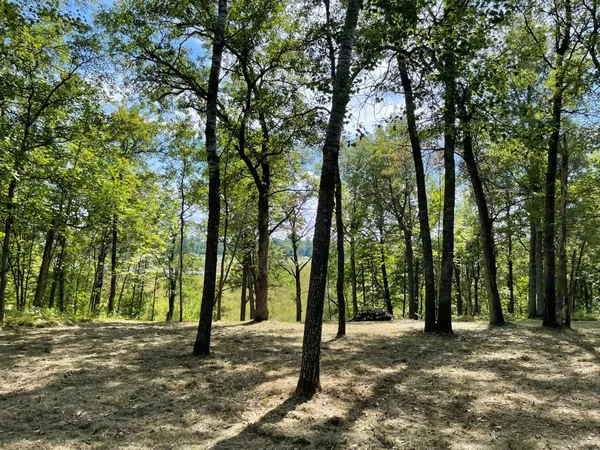 $77,900 | Tbd Wedgewood Drive Northwest, Walker, MN 56484