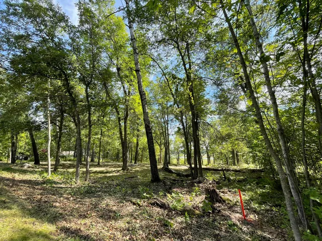 $77,900 | Tbd Wedgewood Drive Northwest, Walker, MN 56484