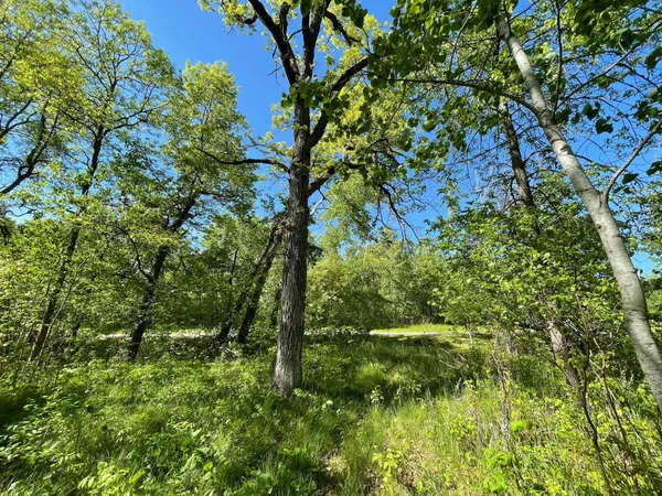 $77,900 | Tbd Wedgewood Drive Northwest, Walker, MN 56484