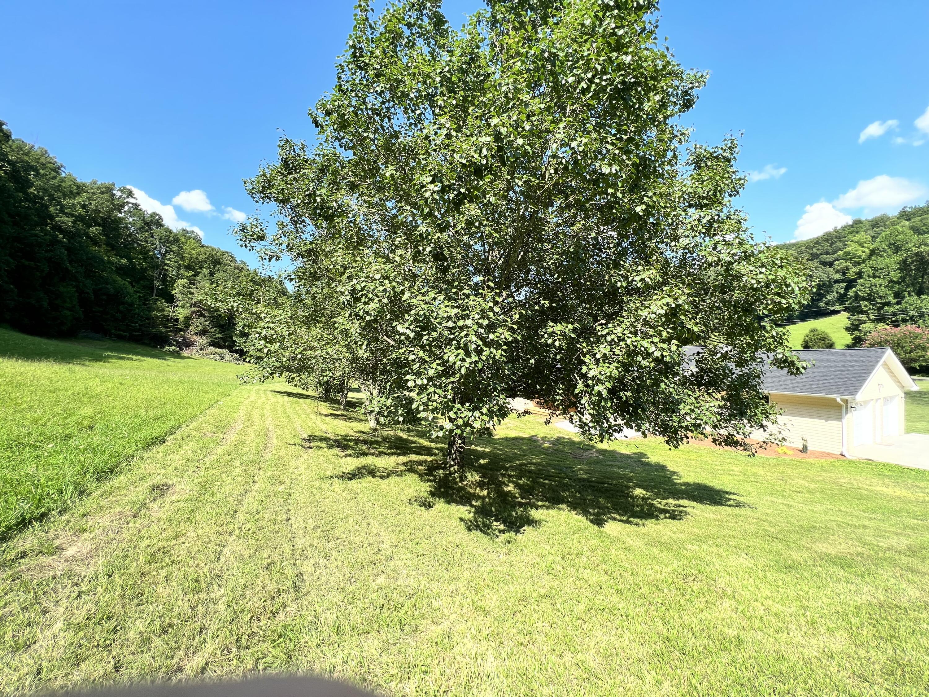 420 Long Hollow Road Elizabethton, TN 37643 - Photo 19 of 53 DC4187F2-3D71-4D36-B714-0D519735A24B