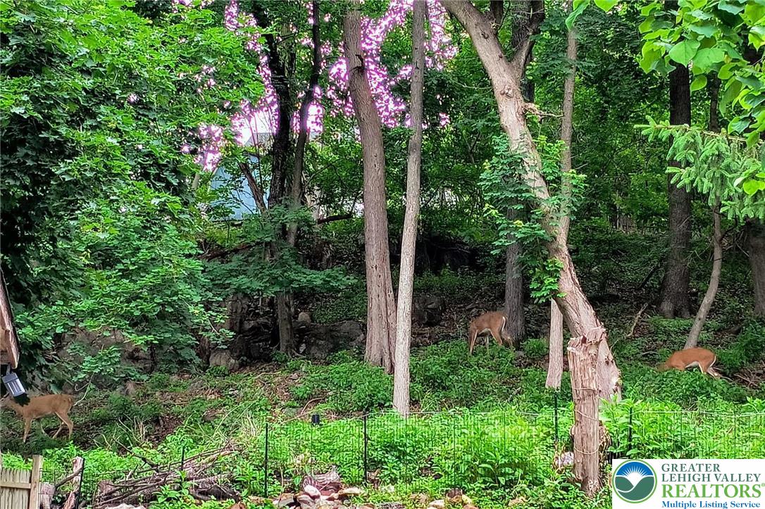 1291 Seidersville Road Bethlehem, PA 18015 - Photo 55 of 56 a view of a house with lots of trees