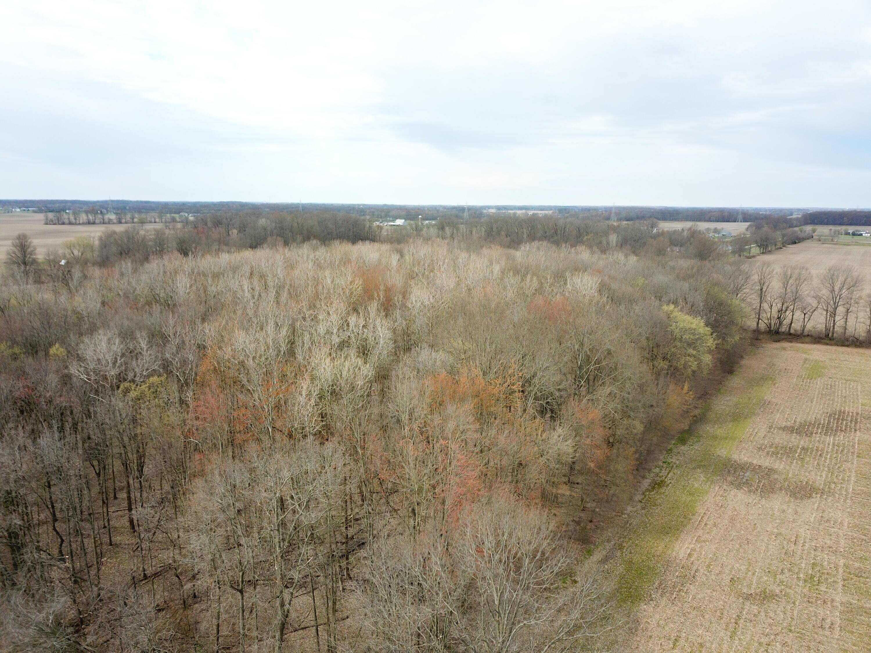 0 Carr Road Ostrander, OH 43061 - Photo 23 of 24 DJI_0999