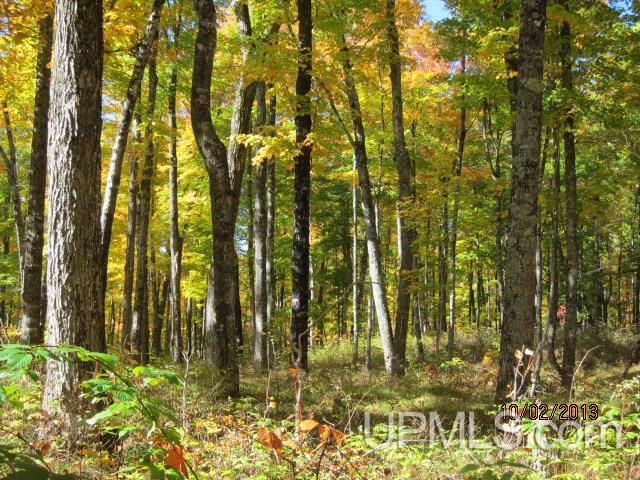 Tbd WPA Road Crystal Falls, MI 49920 - Photo 9 of 33