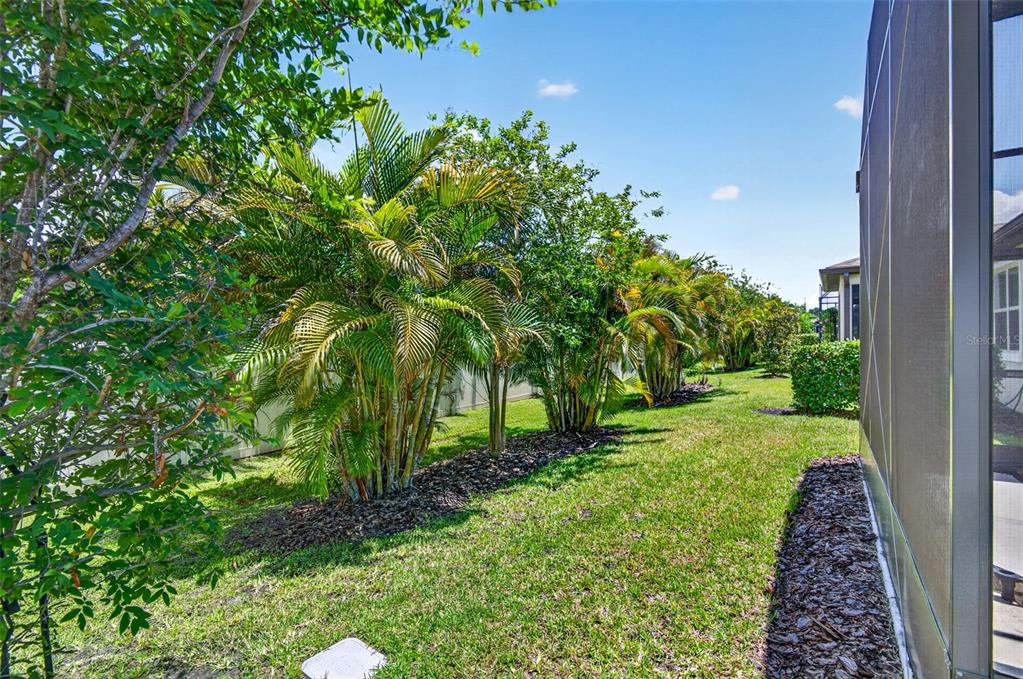 6427 Mooring Line Circle Apollo Beach, FL 33572 - Photo 33 of 34 a view of a yard with plants