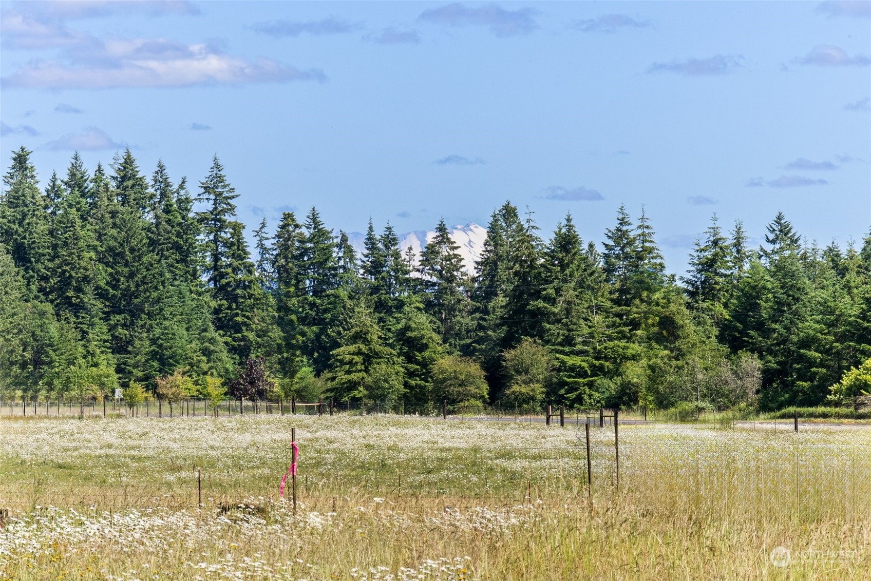116 Kiser Road Ethel, WA 98542 - Photo 38 of 39 Gallery Image 38