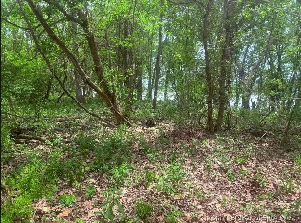 5207 Highway 56 Madison, IN 47250 - Photo 7 of 17