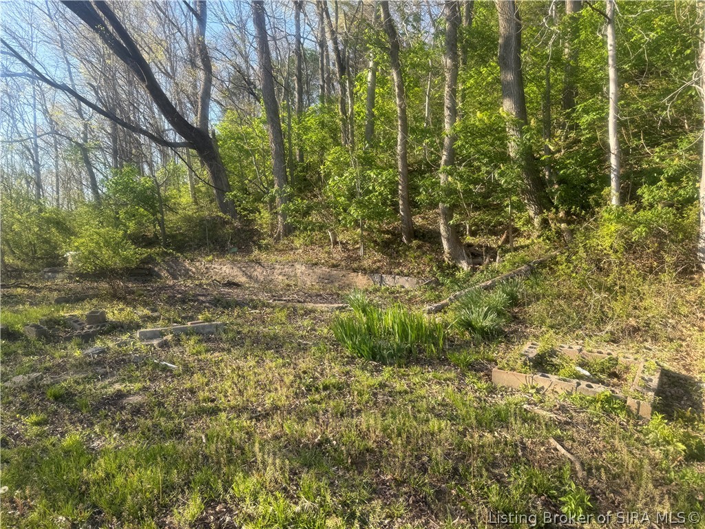 5207 Highway 56 Madison, IN 47250 - Photo 9 of 17