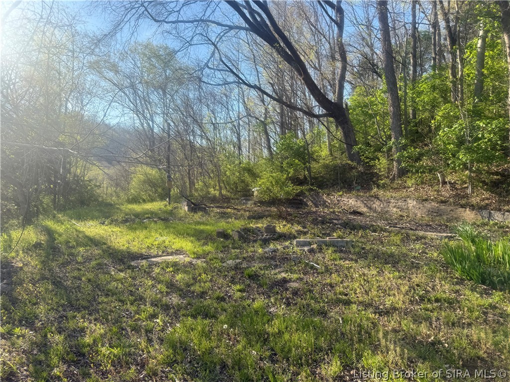 5207 Highway 56 Madison, IN 47250 - Photo 10 of 17