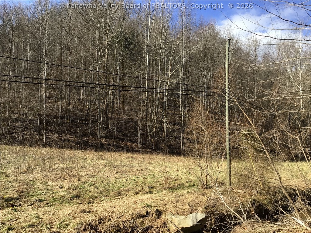 0 Bulger Road Alkol, WV 25501 - Photo 22 of 50 Gallery Image 22