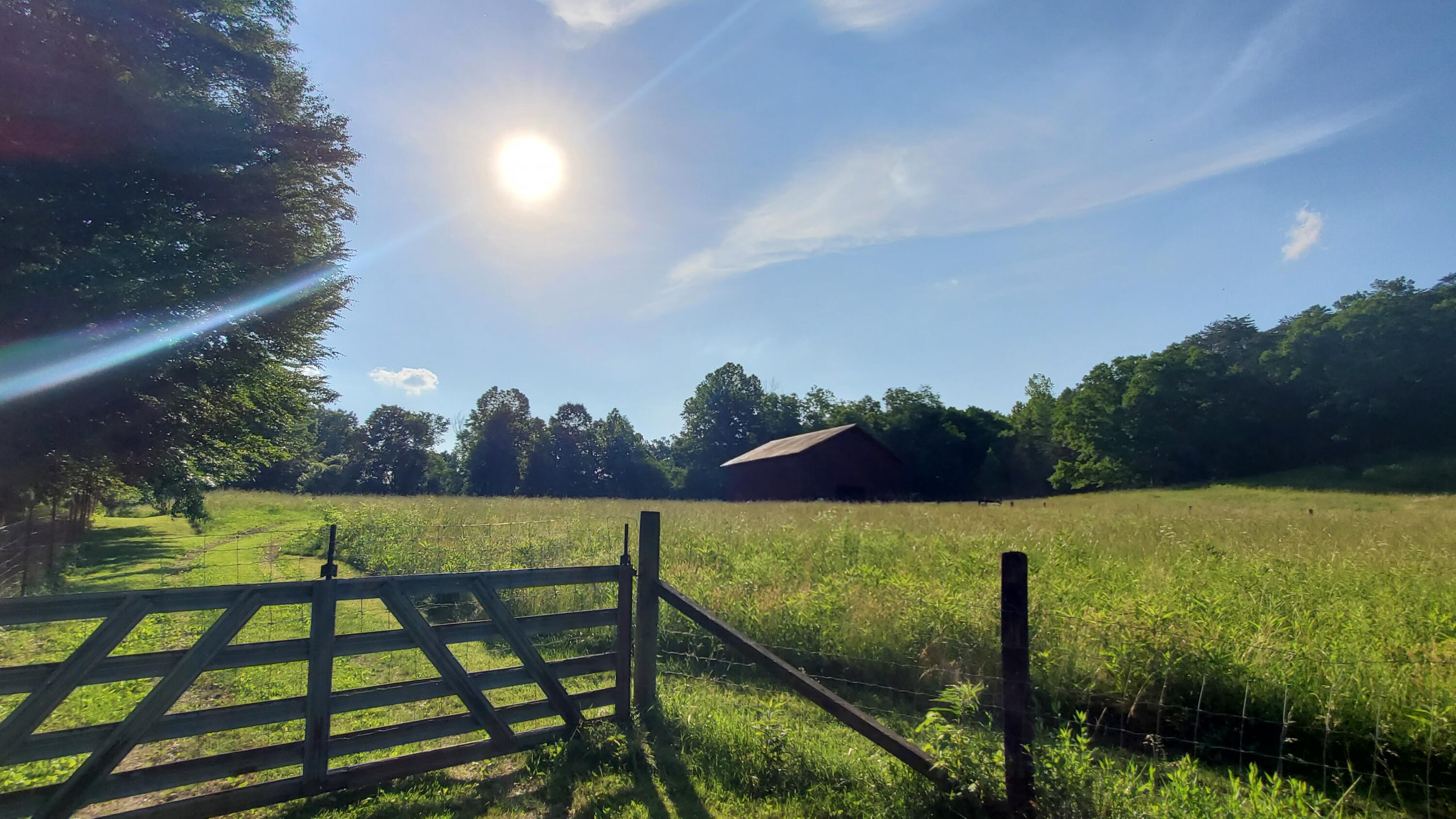 2875 Pointer Creek Road Science Hill, KY 42553 - Photo 1 of 81 20220601_183301