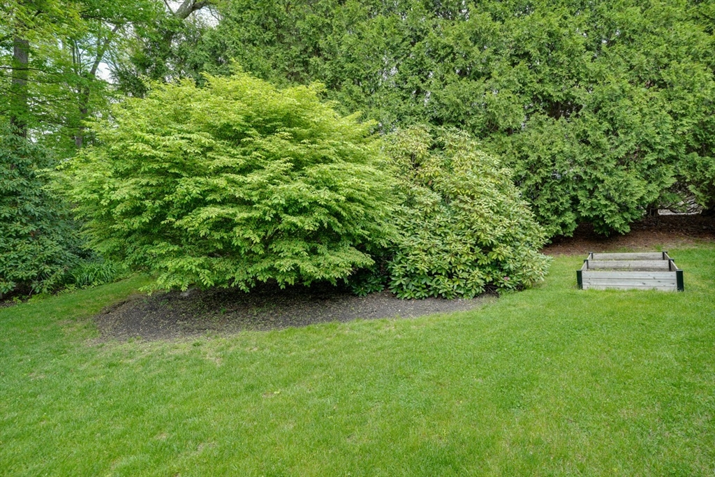 27 Wheeler Road Westborough, MA 01581 - Photo 39 of 41 a view of a back yard