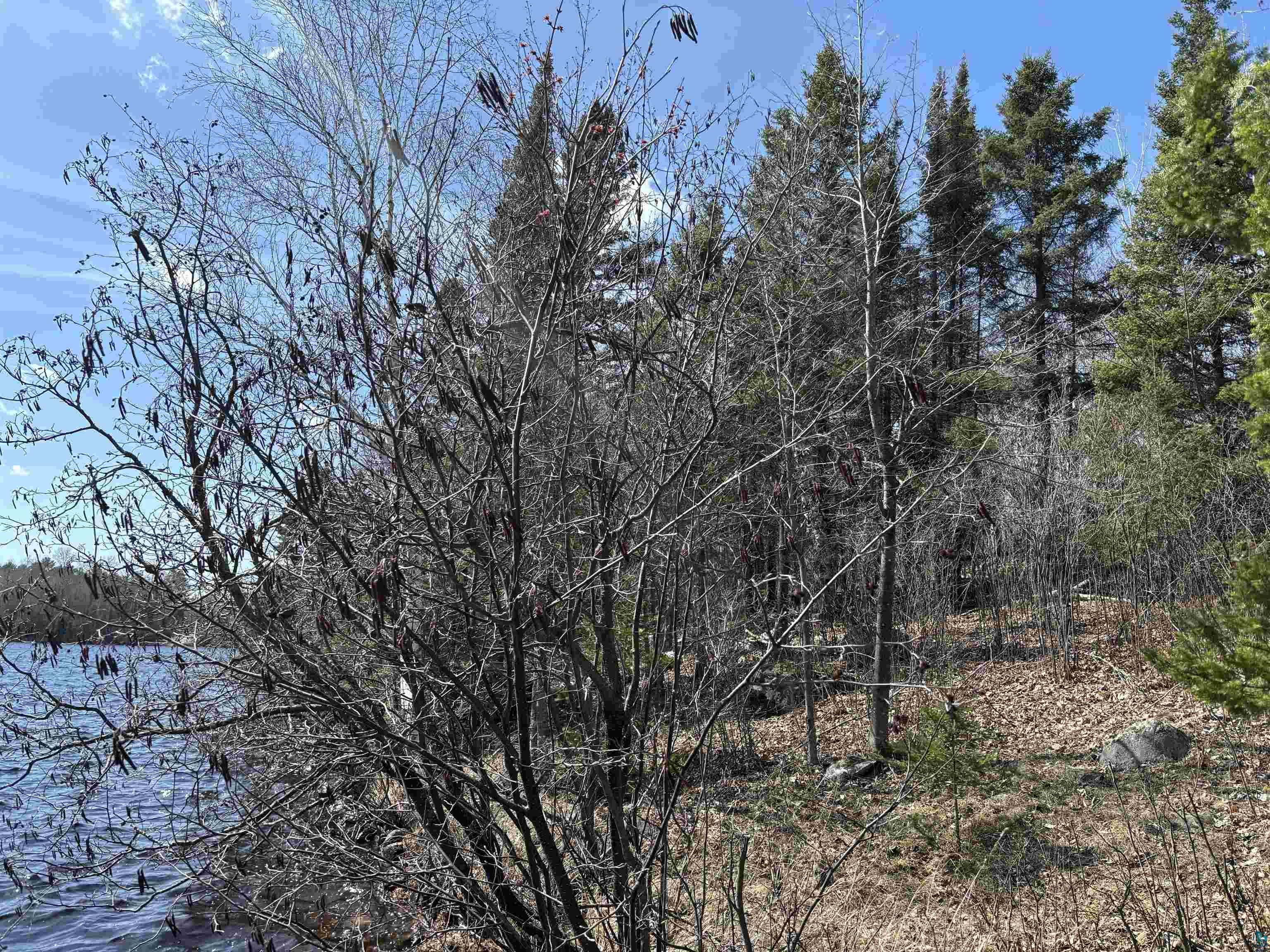 3 Fernberg Road Ely, MN 55731 - Photo 6 of 12