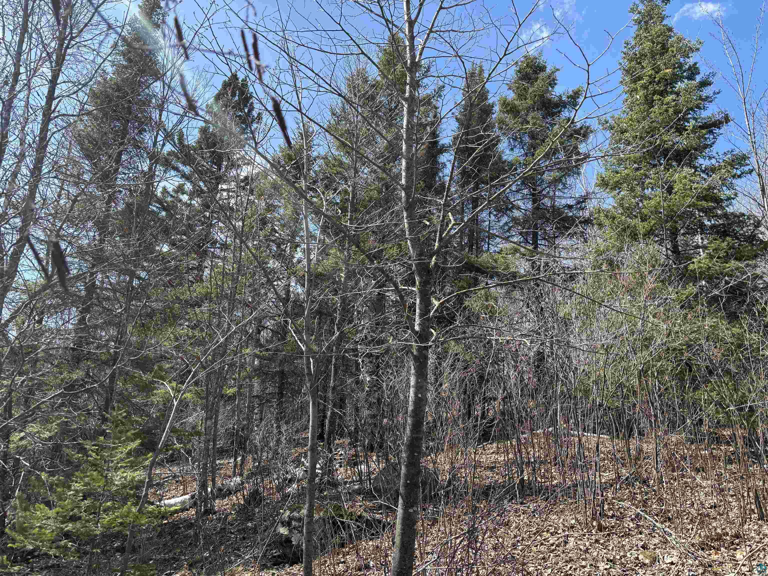 3 Fernberg Road Ely, MN 55731 - Photo 8 of 12