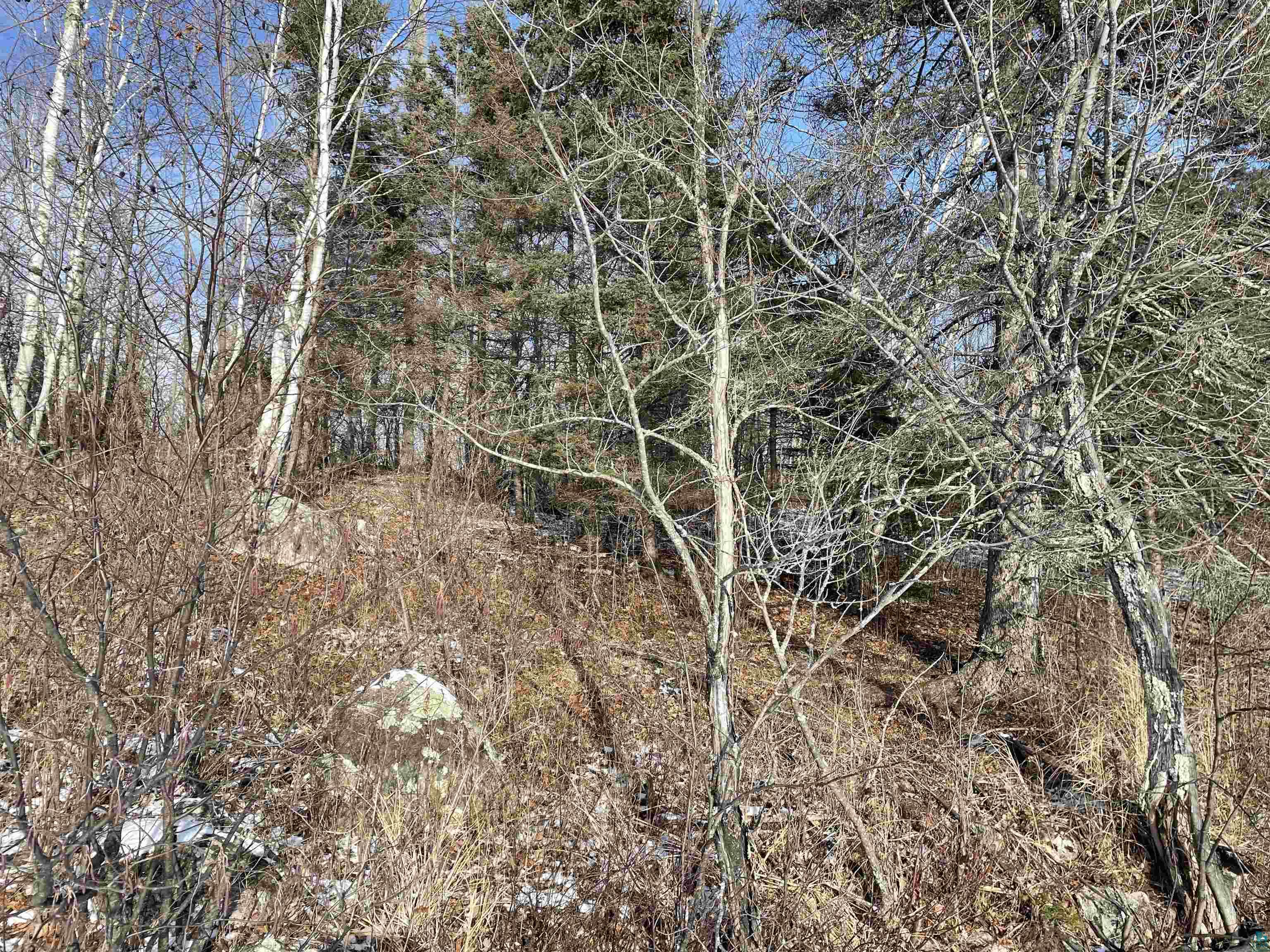 3 Fernberg Road Ely, MN 55731 - Photo 10 of 12