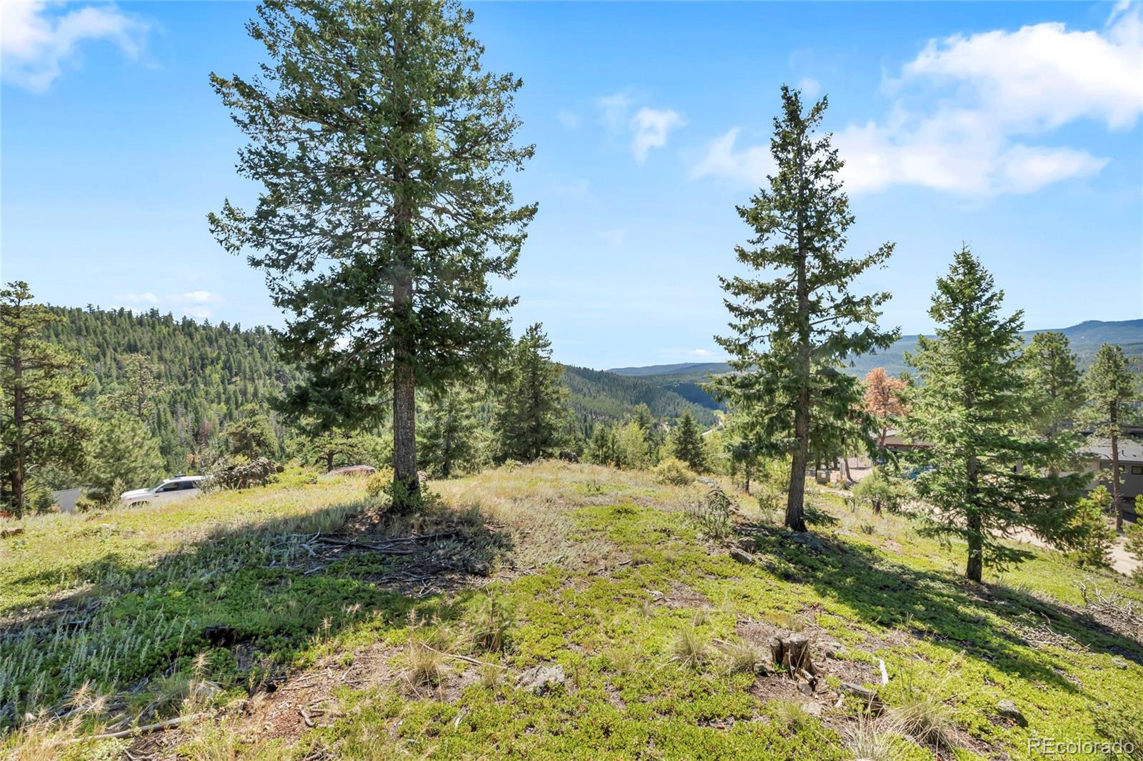 7151 Lynx Lair Road Evergreen, CO 80439 - Photo 8 of 21 Gallery Image 8